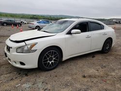 Salvage cars for sale at Chatham, VA auction: 2010 Nissan Maxima S