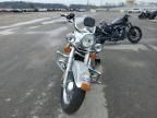 2005 Harley-Davidson Flstci