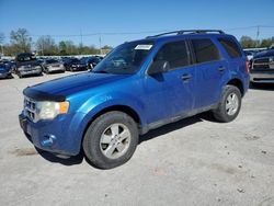 Ford salvage cars for sale: 2011 Ford Escape XLT