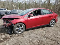 Salvage cars for sale at Bowmanville, ON auction: 2014 Ford Focus SE