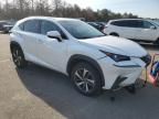 2019 Lexus NX 300 Base