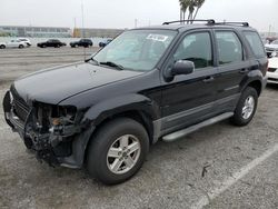 Ford Escape XLS salvage cars for sale: 2006 Ford Escape XLS