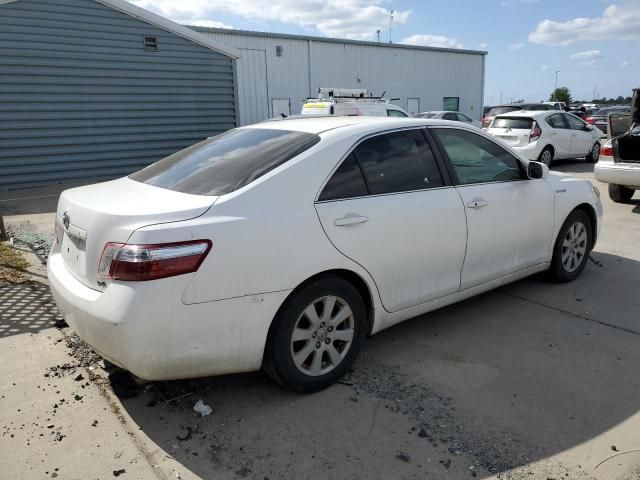 2008 Toyota Camry Hybrid