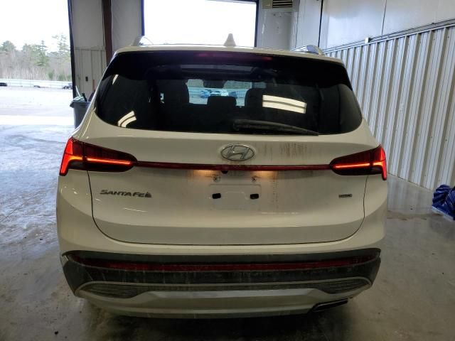 2023 Hyundai Santa FE SEL Premium