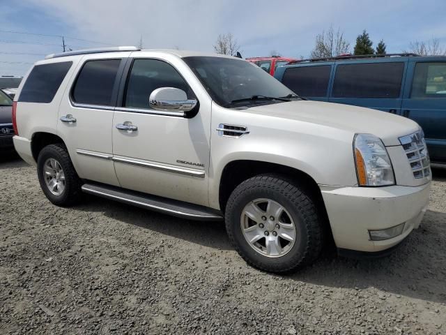 2010 Cadillac Escalade