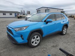 Salvage cars for sale from Copart Airway Heights, WA: 2019 Toyota Rav4 XLE