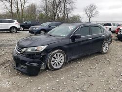 Salvage cars for sale from Copart Cicero, IN: 2013 Honda Accord EXL