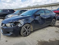 Salvage cars for sale at Louisville, KY auction: 2016 Nissan Maxima 3.5S