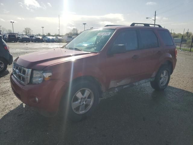 2010 Ford Escape XLT