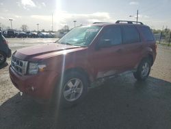 Salvage cars for sale from Copart Indianapolis, IN: 2010 Ford Escape XLT