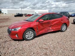 Salvage cars for sale from Copart Phoenix, AZ: 2020 Hyundai Elantra SE