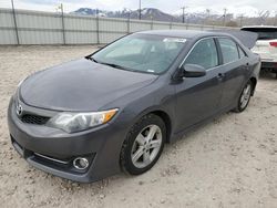 Toyota Camry L salvage cars for sale: 2013 Toyota Camry L