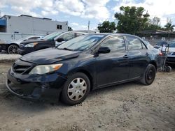 Salvage cars for sale from Copart Opa Locka, FL: 2013 Toyota Corolla Base