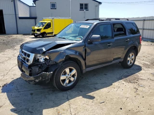 2009 Ford Escape XLT