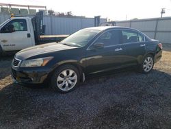 Salvage cars for sale from Copart Kapolei, HI: 2008 Honda Accord EXL