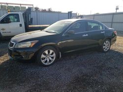 Honda salvage cars for sale: 2008 Honda Accord EXL