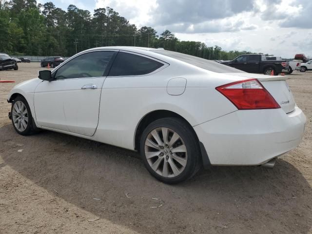 2010 Honda Accord EXL