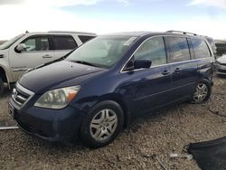 Honda Vehiculos salvage en venta: 2005 Honda Odyssey EXL