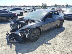 Salvage cars for sale from Copart Antelope, CA: 2024 Tesla Model 3