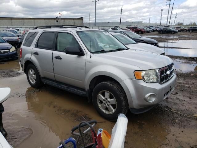 2009 Ford Escape XLT