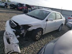 Toyota Corolla CE salvage cars for sale: 2007 Toyota Corolla CE