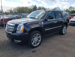 Salvage cars for sale from Copart Chalfont, PA: 2014 Cadillac Escalade Platinum