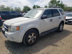 Salvage cars for sale at Baltimore, MD auction: 2009 Ford Escape XLT