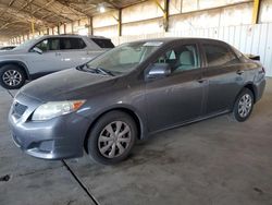 Salvage cars for sale from Copart Phoenix, AZ: 2009 Toyota Corolla Base