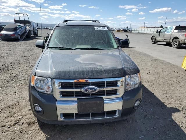 2008 Ford Escape HEV