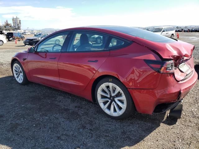 2021 Tesla Model 3