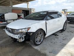 Salvage cars for sale from Copart West Palm Beach, FL: 2013 Scion TC