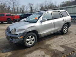 Salvage cars for sale from Copart Ellwood City, PA: 2006 Hyundai Santa FE GLS
