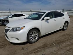 Salvage cars for sale at Bakersfield, CA auction: 2014 Lexus ES 300H