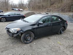 Salvage cars for sale at Marlboro, NY auction: 2016 Toyota Corolla L