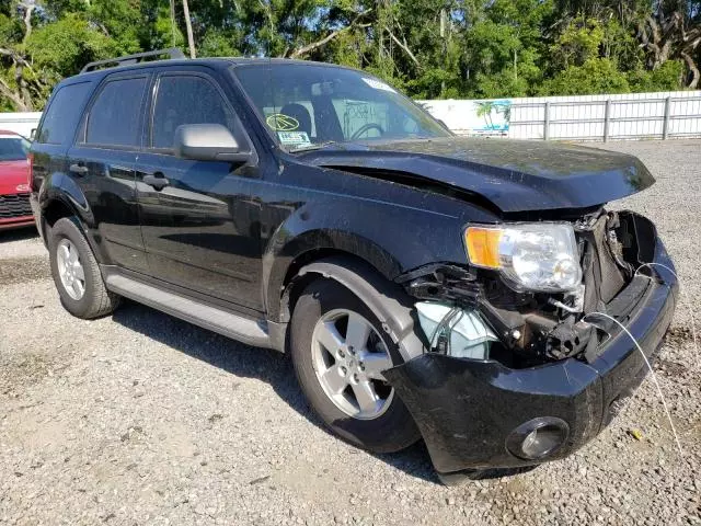 2010 Ford Escape XLT