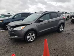 Ford salvage cars for sale: 2014 Ford Escape SE