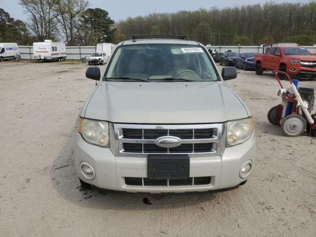 2008 Ford Escape XLT