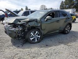 Salvage cars for sale from Copart Graham, WA: 2021 Lexus NX 300H Base