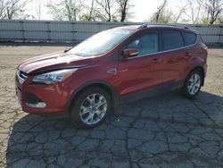 Salvage cars for sale from Copart West Mifflin, PA: 2014 Ford Escape Titanium