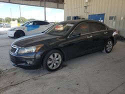 Salvage cars for sale at Homestead, FL auction: 2010 Honda Accord EXL
