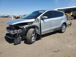 Salvage cars for sale at Brighton, CO auction: 2013 Ford Escape SEL