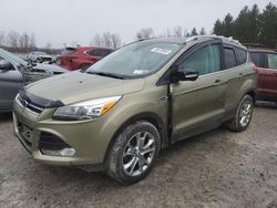 2013 Ford Escape Titanium for sale in Leroy, NY