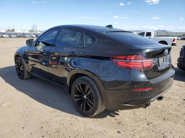 2010 BMW X6 M