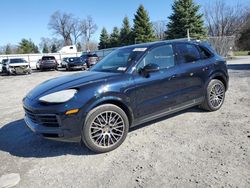 Salvage cars for sale from Copart Albany, NY: 2023 Porsche Cayenne Base