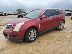 Salvage cars for sale from Copart Haslet, TX: 2010 Cadillac SRX Luxury Collection