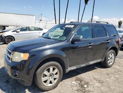 Compre carros salvage a la venta ahora en subasta: 2011 Ford Escape XLT