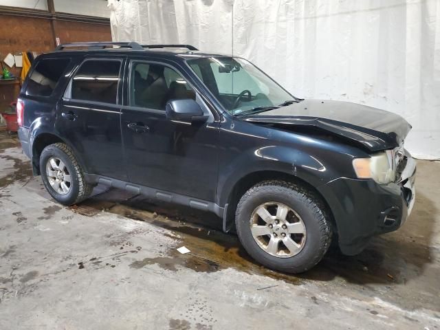 2010 Ford Escape Limited