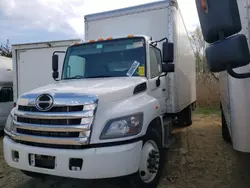 Salvage trucks for sale at Glassboro, NJ auction: 2019 Hino 258 268
