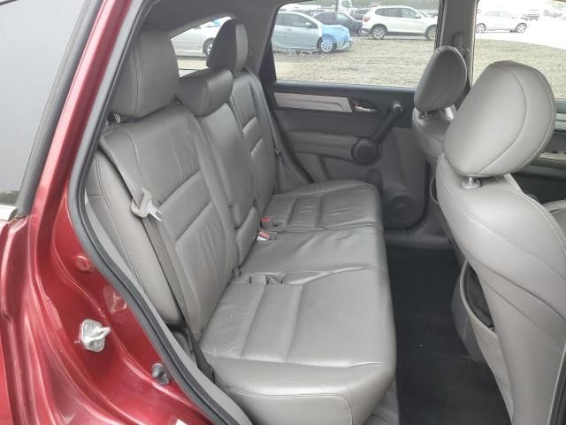 2010 Honda CR-V EXL