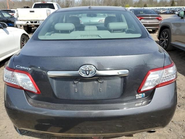 2010 Toyota Camry Hybrid